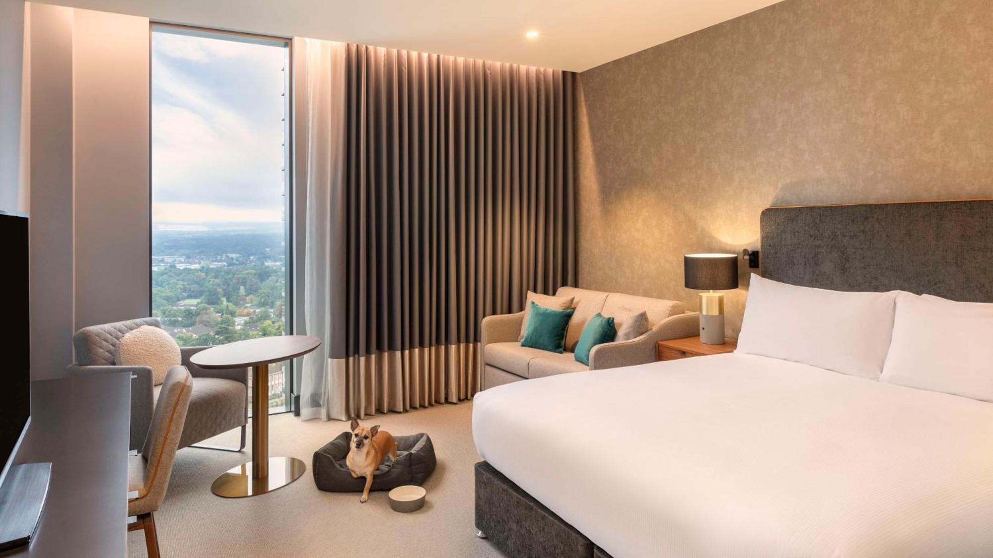 מלון Hilton ווקינג מראה חיצוני תמונה